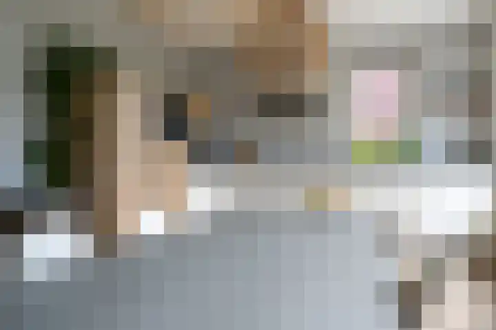 Bruine Eikenpage 60 Tiel thumbnail 17