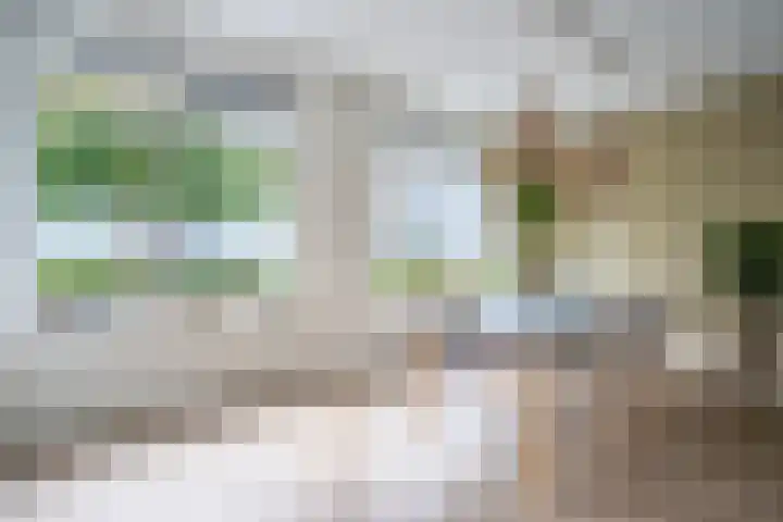 Bruine Eikenpage 60 Tiel thumbnail 21