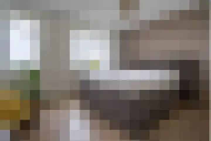 Bruine Eikenpage 60 Tiel thumbnail 25