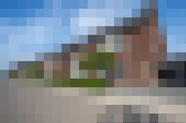 Bruine Eikenpage 60 Tiel thumbnail 4