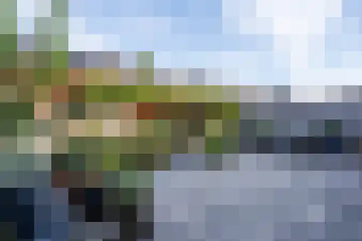 Bruine Eikenpage 60 Tiel thumbnail 47