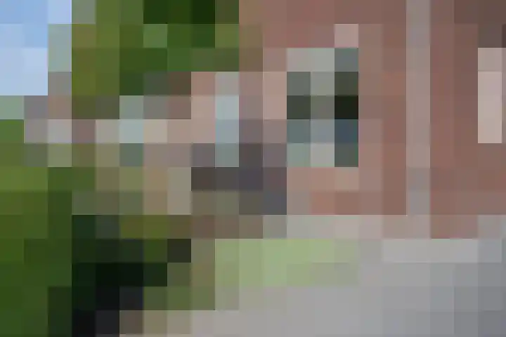 Bruine Eikenpage 60 Tiel thumbnail 5
