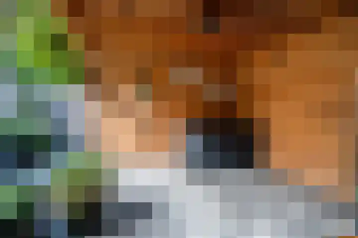 Bruine Eikenpage 60 Tiel thumbnail 50