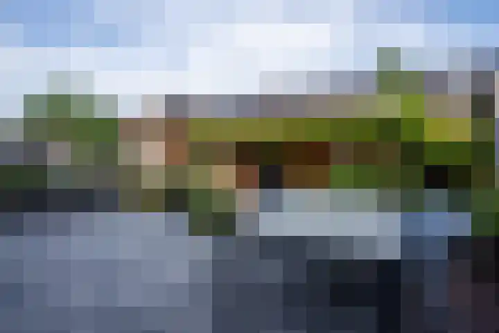 Bruine Eikenpage 60 Tiel thumbnail 52