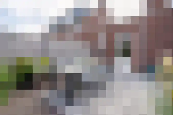 Bruine Eikenpage 60 Tiel thumbnail 53