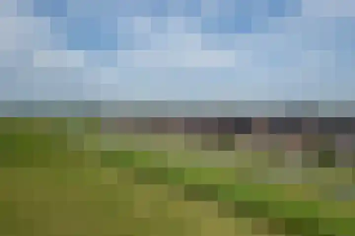 Bruine Eikenpage 60 Tiel thumbnail 56