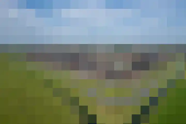 Bruine Eikenpage 60 Tiel thumbnail 57