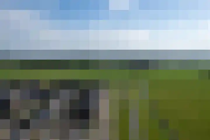 Bruine Eikenpage 60 Tiel thumbnail 58