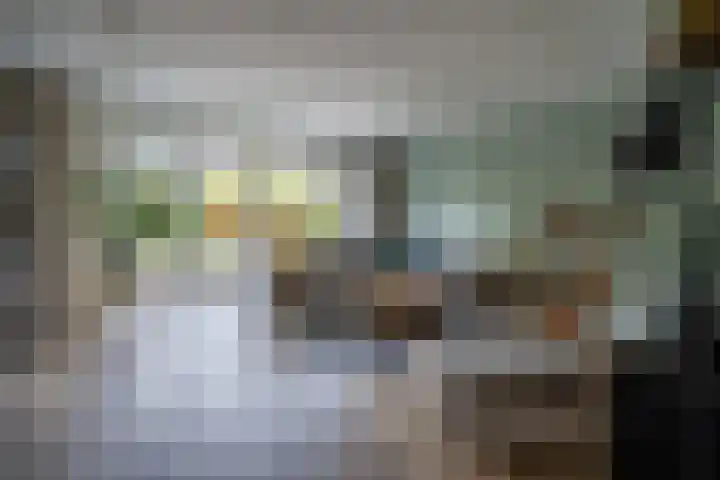 Bruine Eikenpage 60 Tiel thumbnail 8