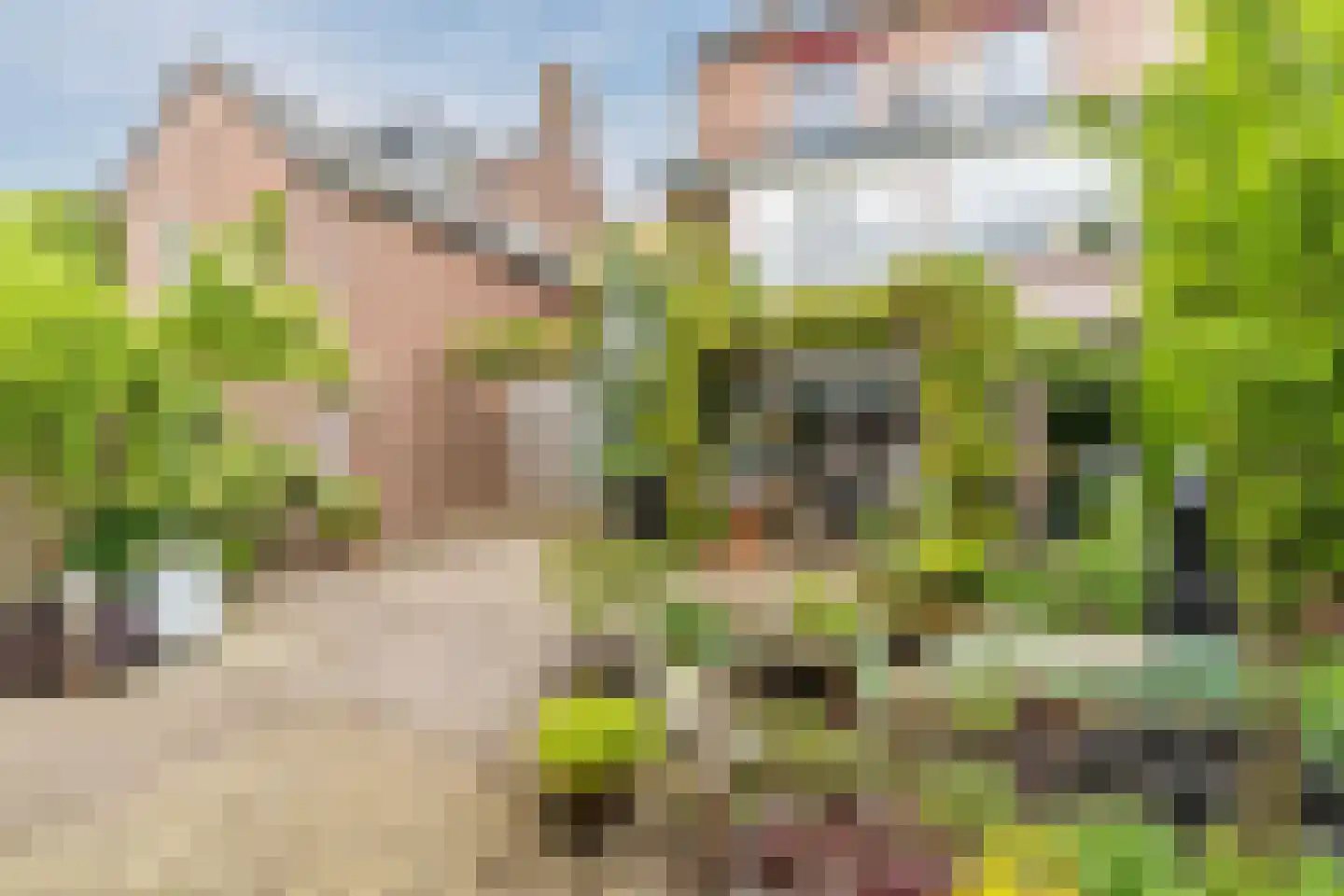 Bruine Engseweg 18 Rhenen thumbnail 37