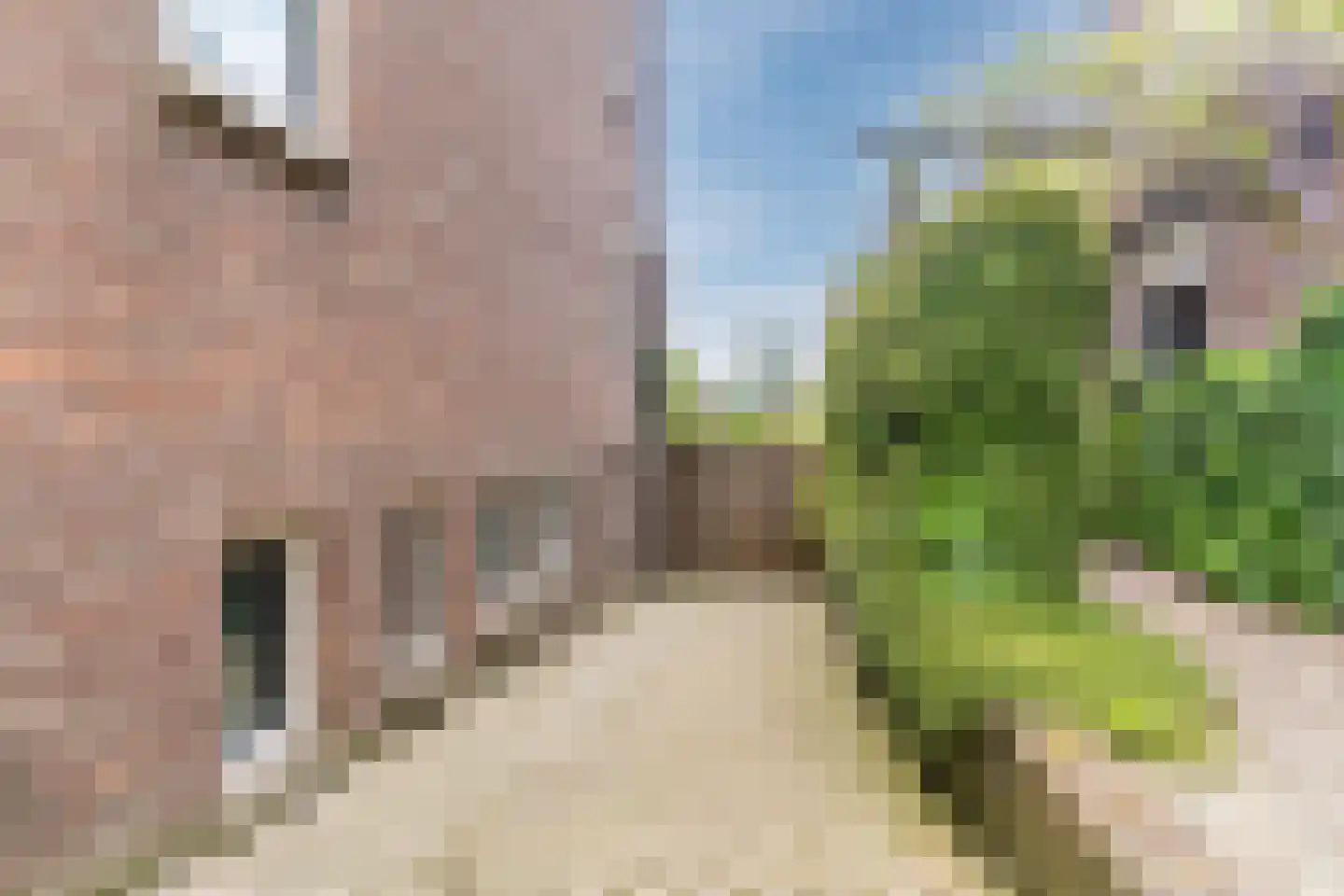 Bruine Engseweg 18 Rhenen thumbnail 41