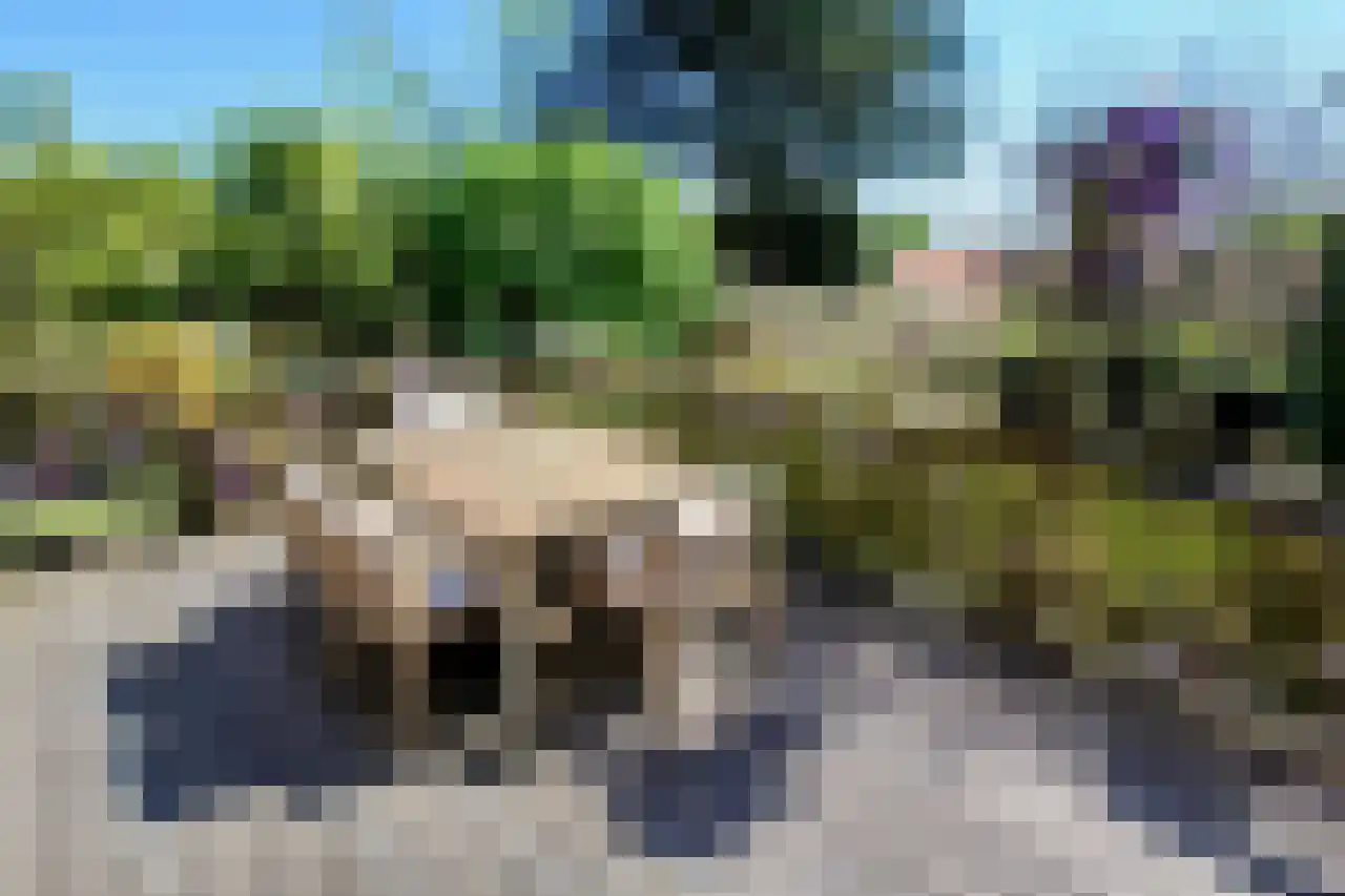 Bruine Engseweg 20 Rhenen thumbnail 31
