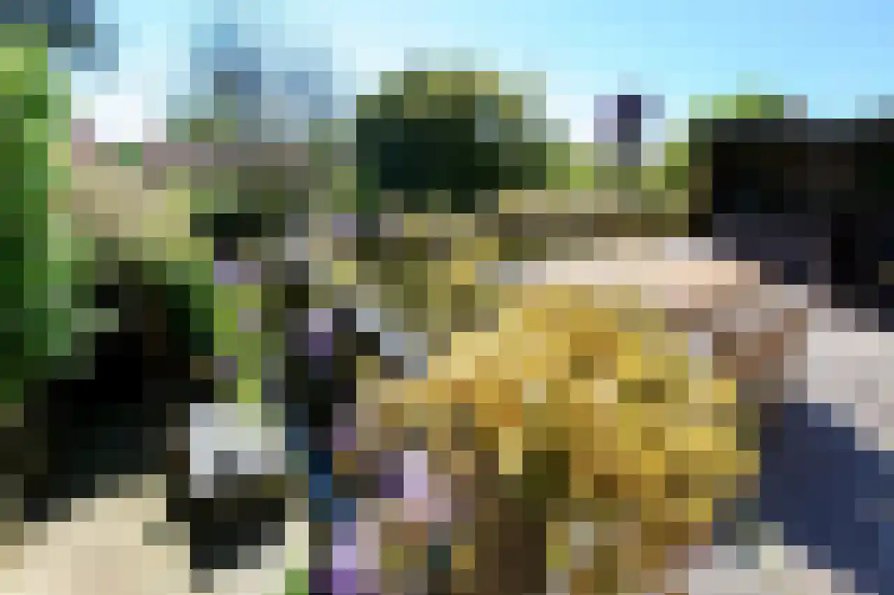 Bruine Engseweg 20 Rhenen thumbnail 32