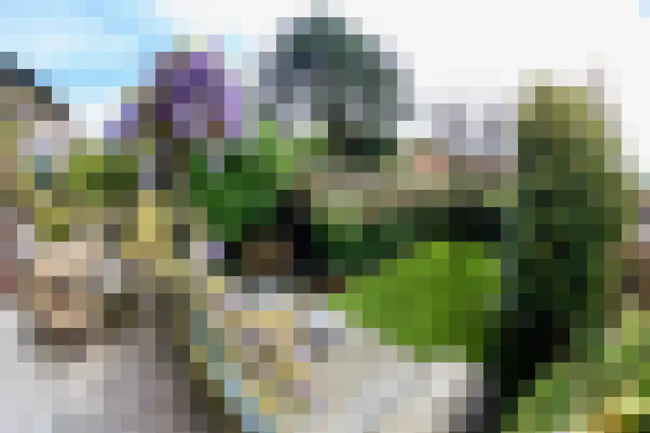 Bruine Engseweg 20 Rhenen thumbnail 33
