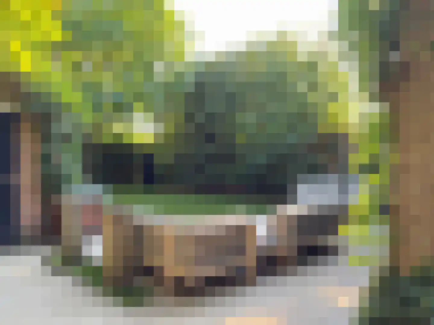 Bruine Engseweg 20 Rhenen thumbnail 34