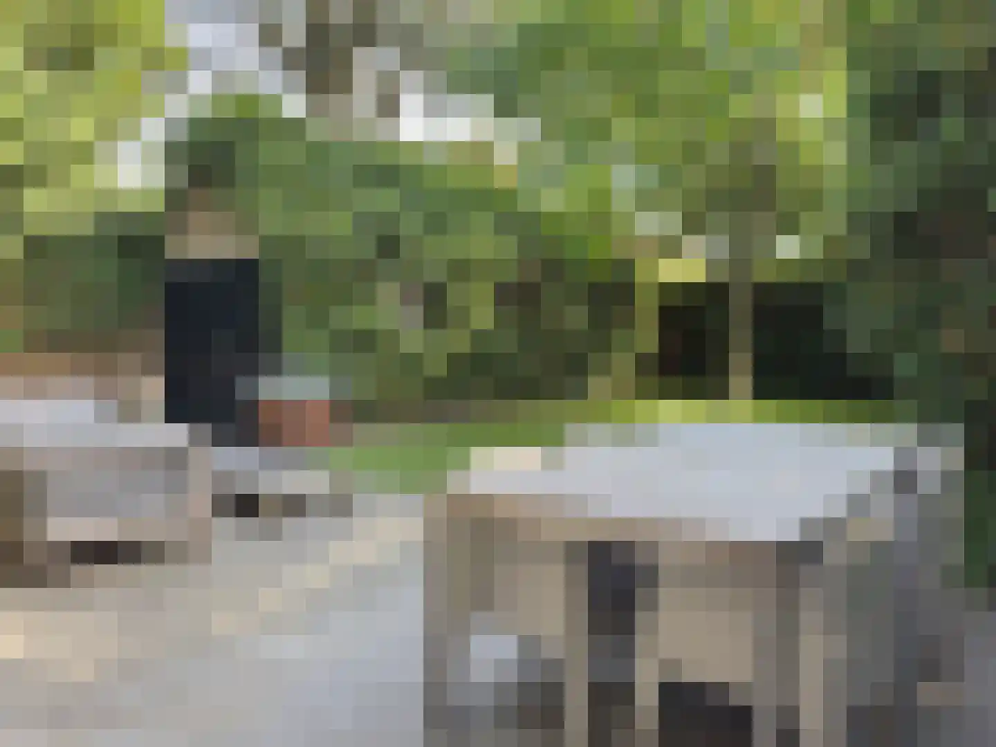 Bruine Engseweg 20 Rhenen thumbnail 35