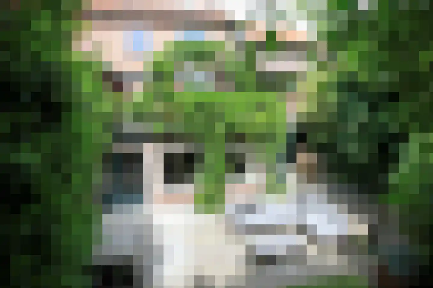 Bruine Engseweg 20 Rhenen thumbnail 4