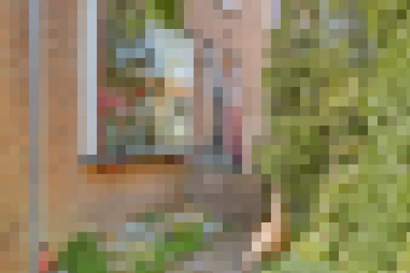 Bruine Engseweg 20 Rhenen thumbnail 6