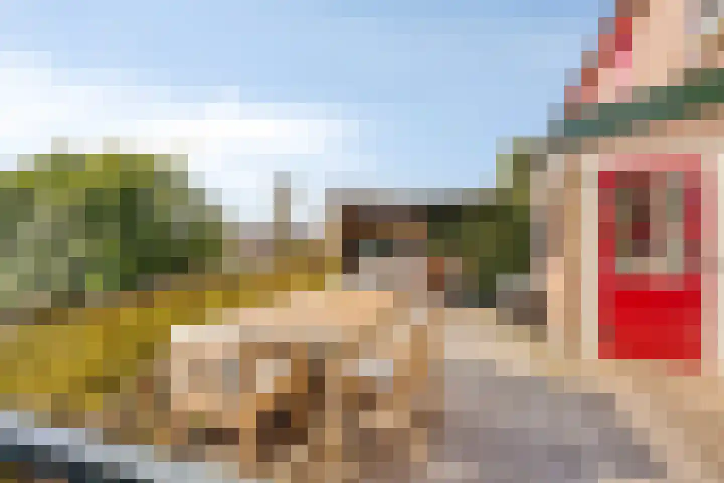 Bruine Engseweg 20 Rhenen thumbnail 61