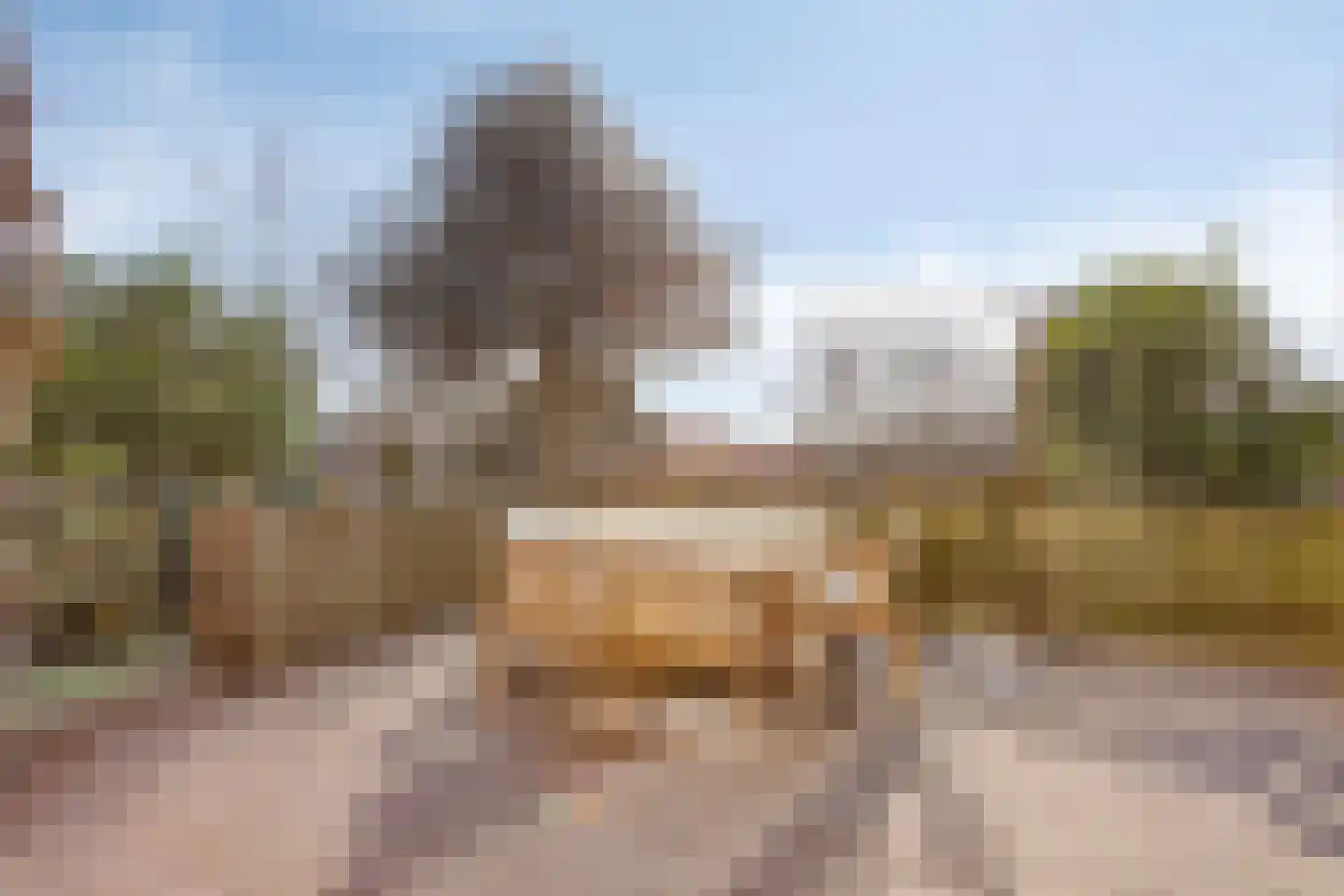 Bruine Engseweg 20 Rhenen thumbnail 62