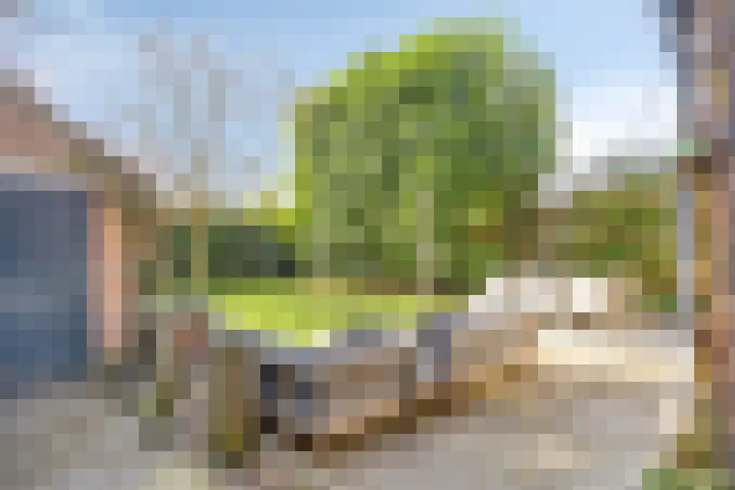 Bruine Engseweg 20 Rhenen thumbnail 63