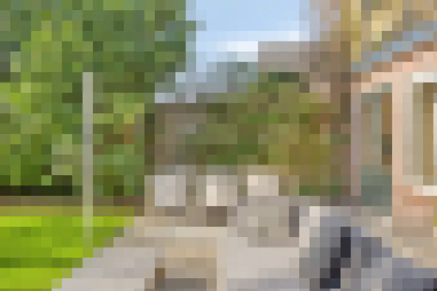 Bruine Engseweg 20 Rhenen thumbnail 64