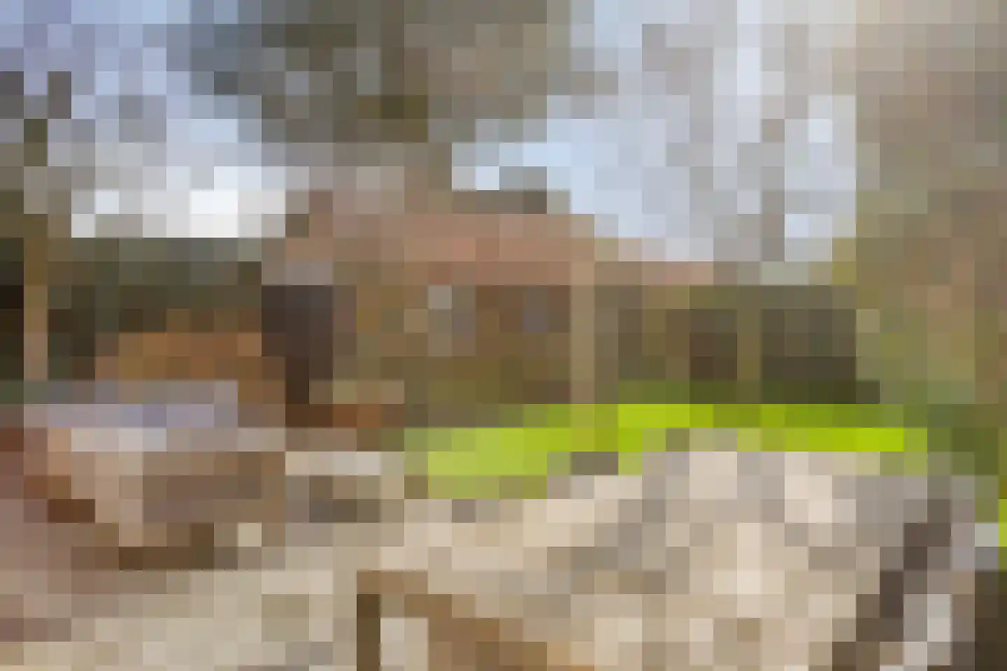 Bruine Engseweg 20 Rhenen thumbnail 65