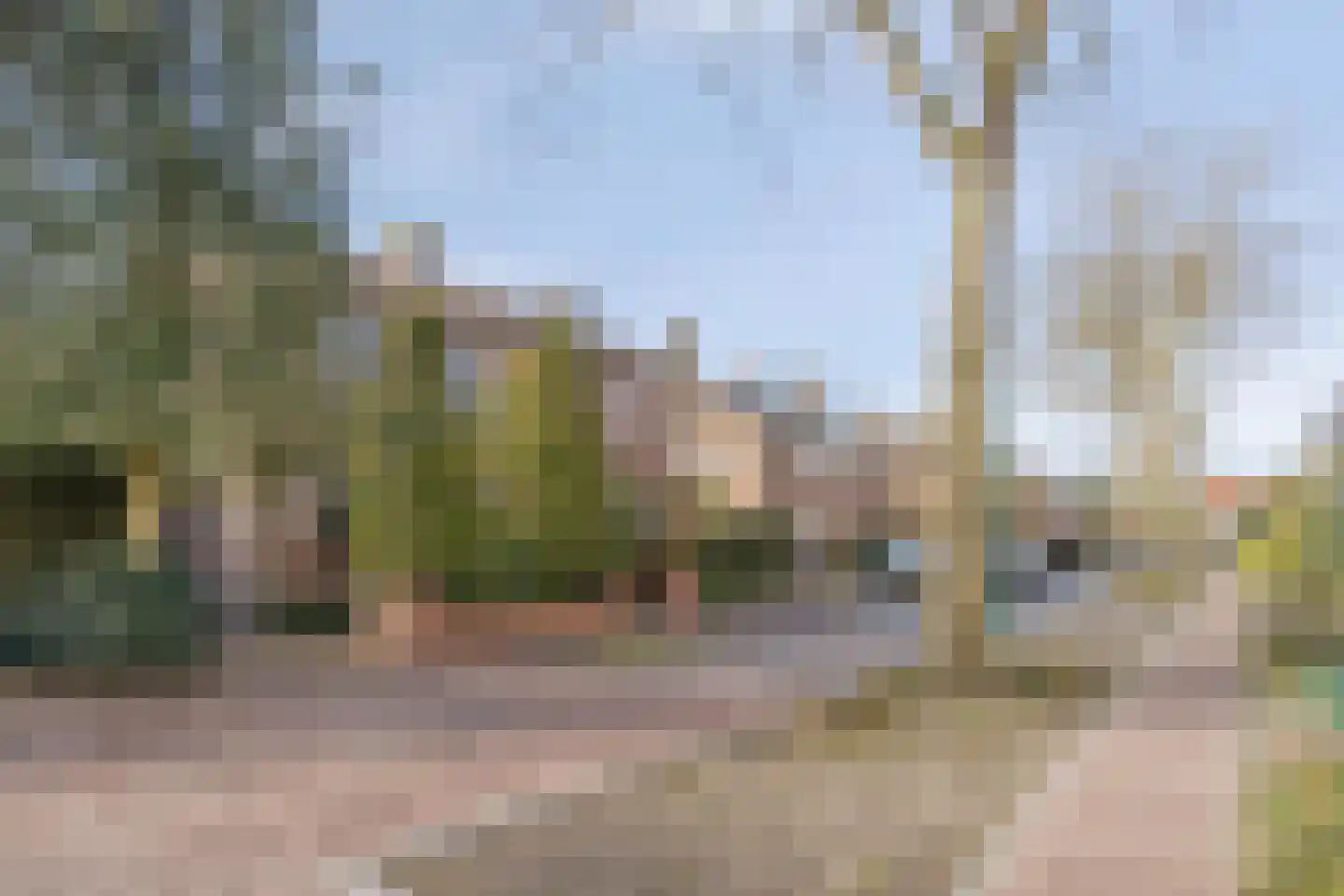 Bruine Engseweg 20 Rhenen thumbnail 70
