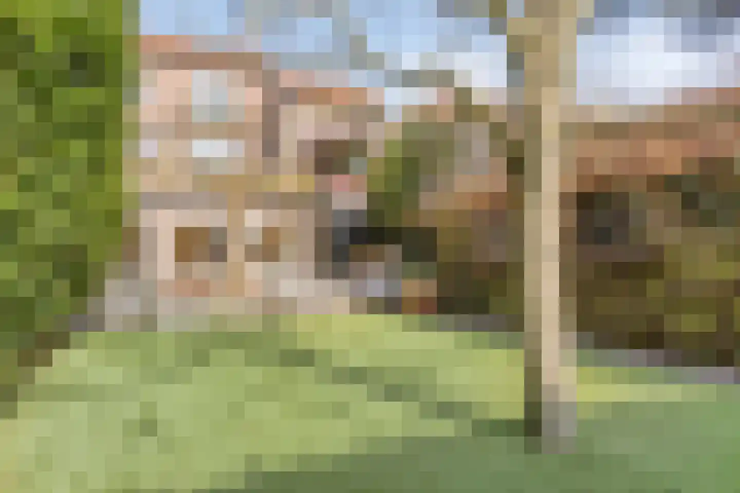Bruine Engseweg 20 Rhenen thumbnail 71