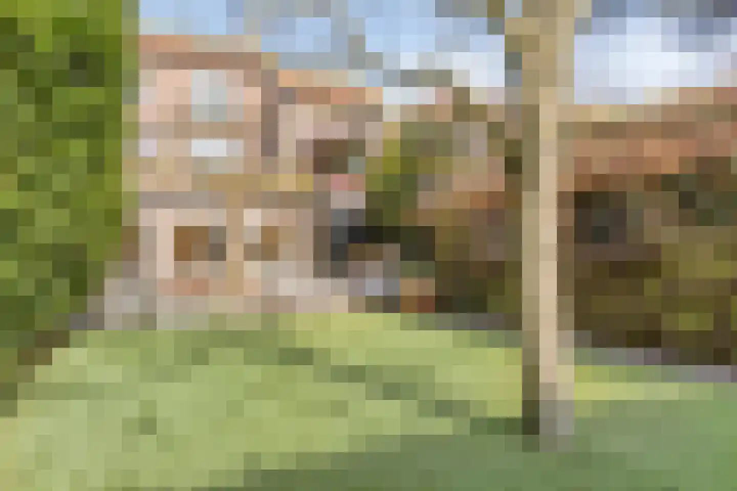 Bruine Engseweg 20 Rhenen thumbnail 72