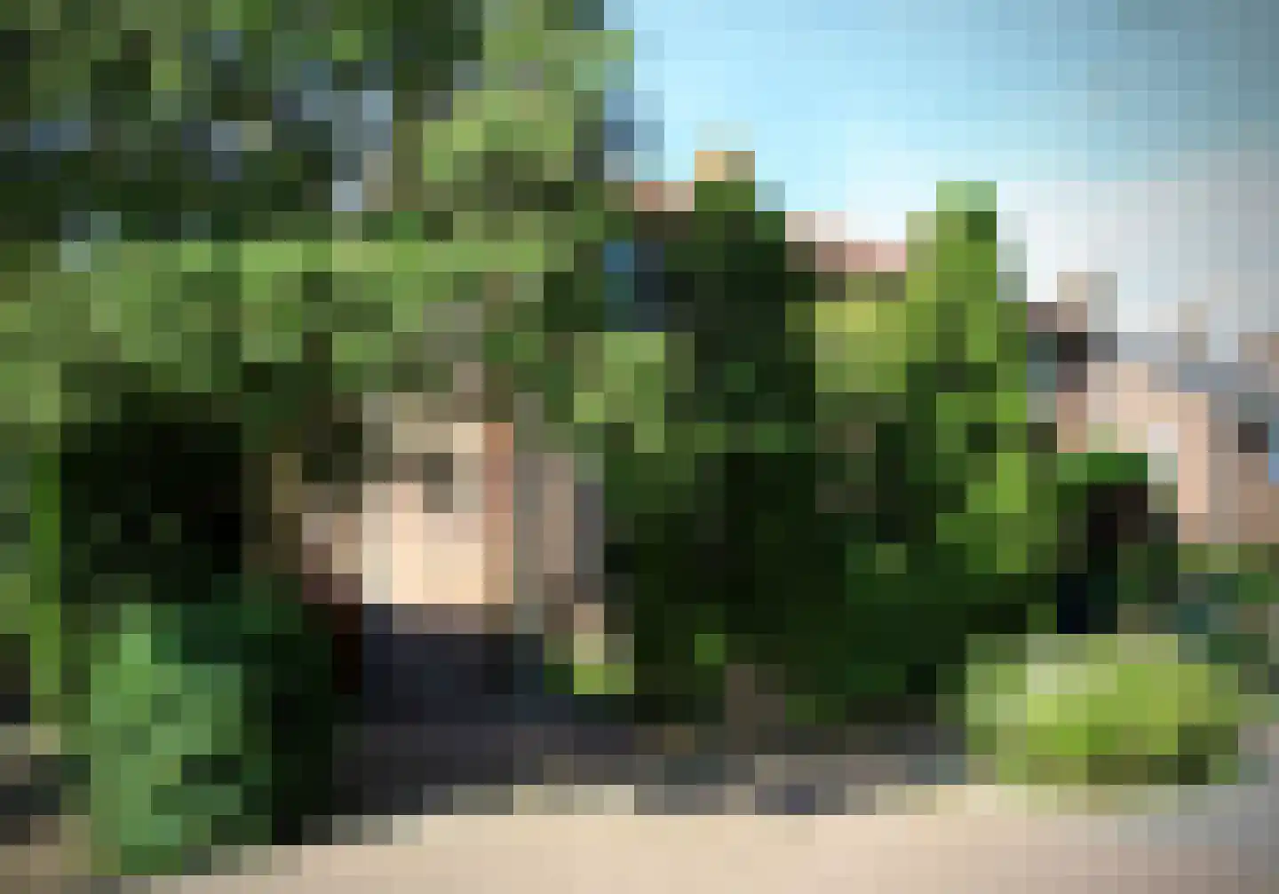 Bruine Engseweg 20 Rhenen thumbnail 74