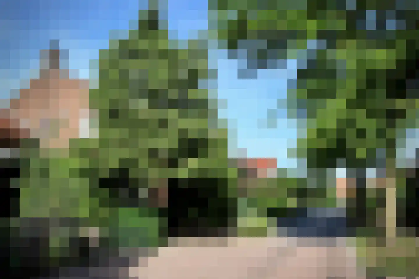 Bruine Engseweg 20 Rhenen thumbnail 75