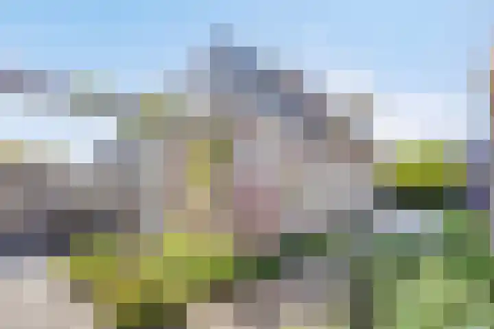 Bruine Engseweg 21 Rhenen thumbnail 44