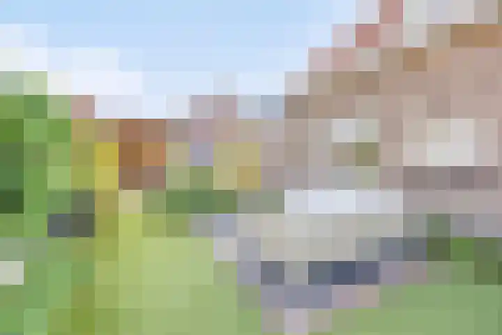 Bruine Engseweg 21 Rhenen thumbnail 45
