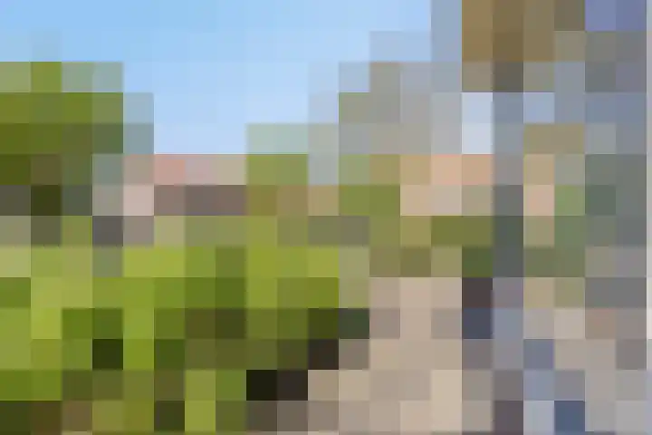 Bruine Engseweg 21 Rhenen thumbnail 50
