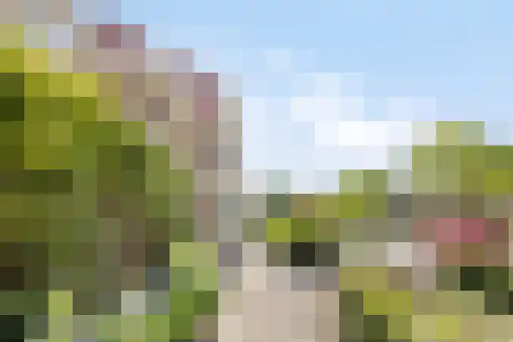 Bruine Engseweg 21 Rhenen thumbnail 52