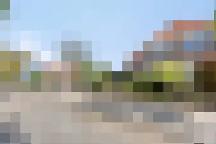 Bruine Engseweg 21 Rhenen thumbnail 55