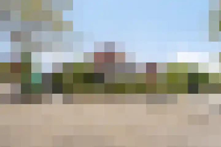 Bruine Engseweg 21 Rhenen thumbnail 56