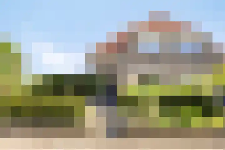 Bruine Engseweg 21 Rhenen thumbnail 6