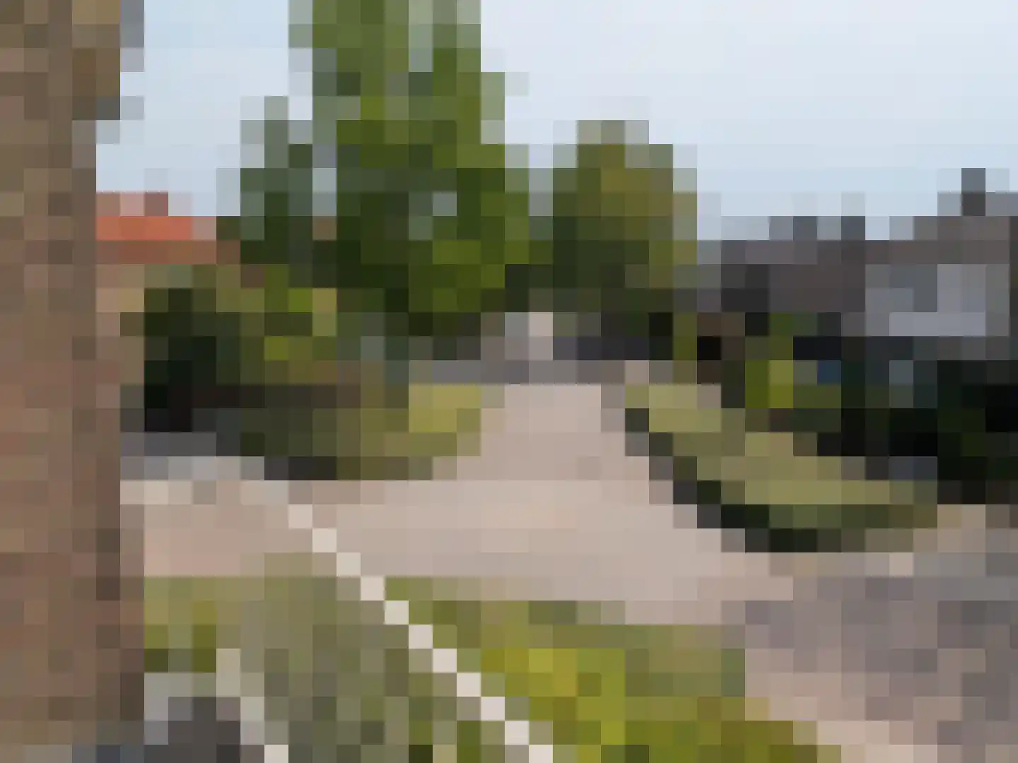 Bruine Engseweg 31 A Rhenen thumbnail 19
