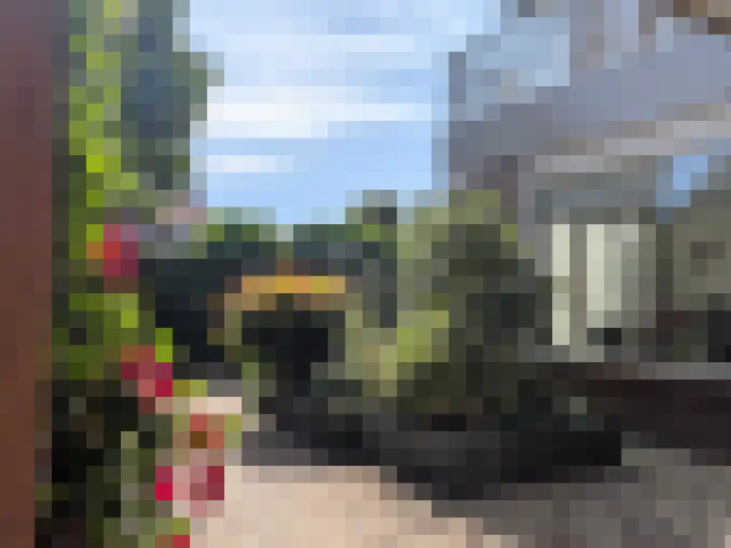 Bruine Engseweg 31 A Rhenen thumbnail 4