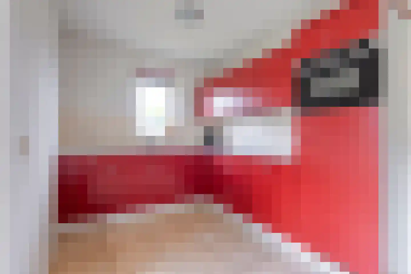 Bruine Hoopsweg 6 a Z211 Hoge Hexel thumbnail 13
