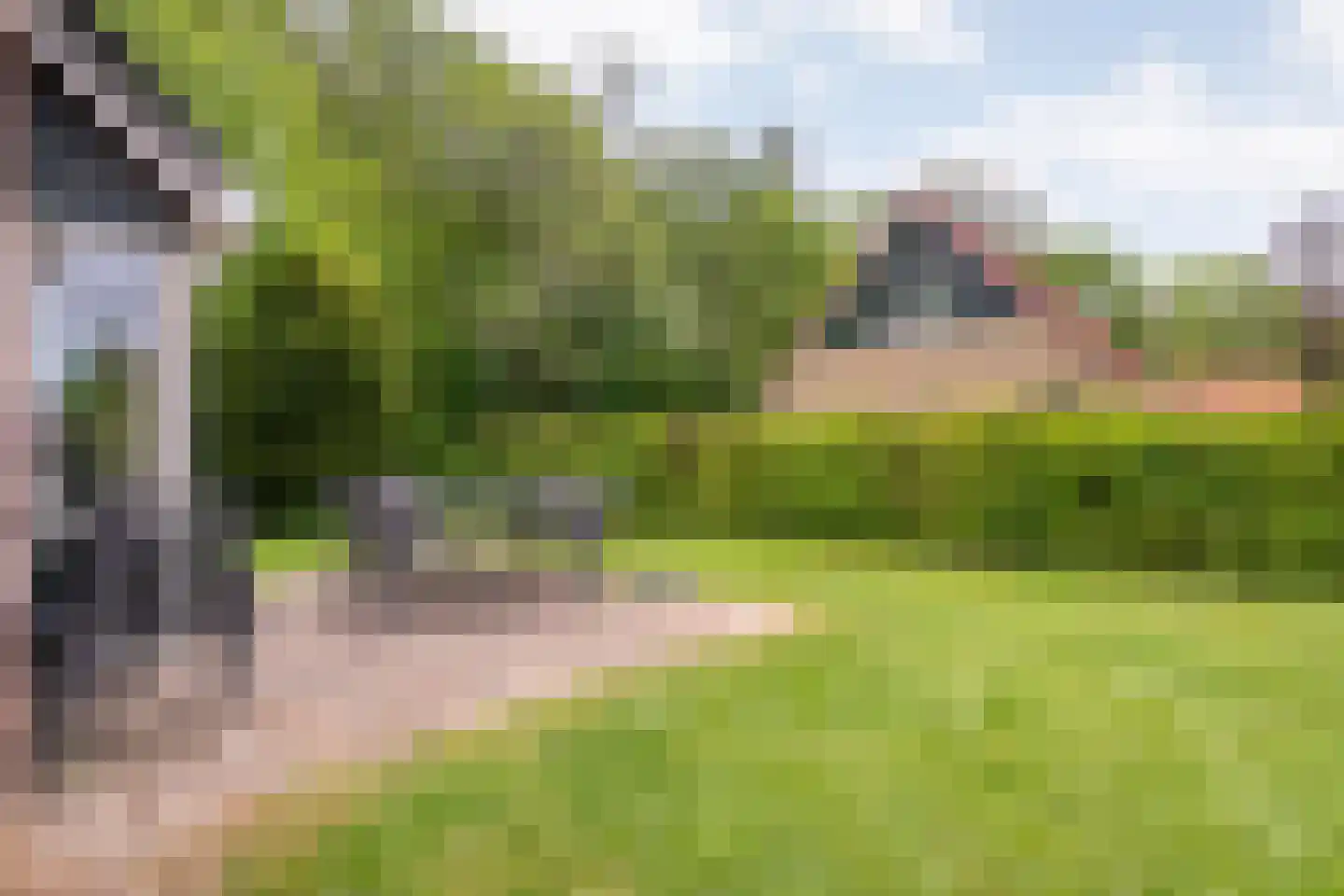Bruine Hoopsweg 6 a Z211 Hoge Hexel thumbnail 25