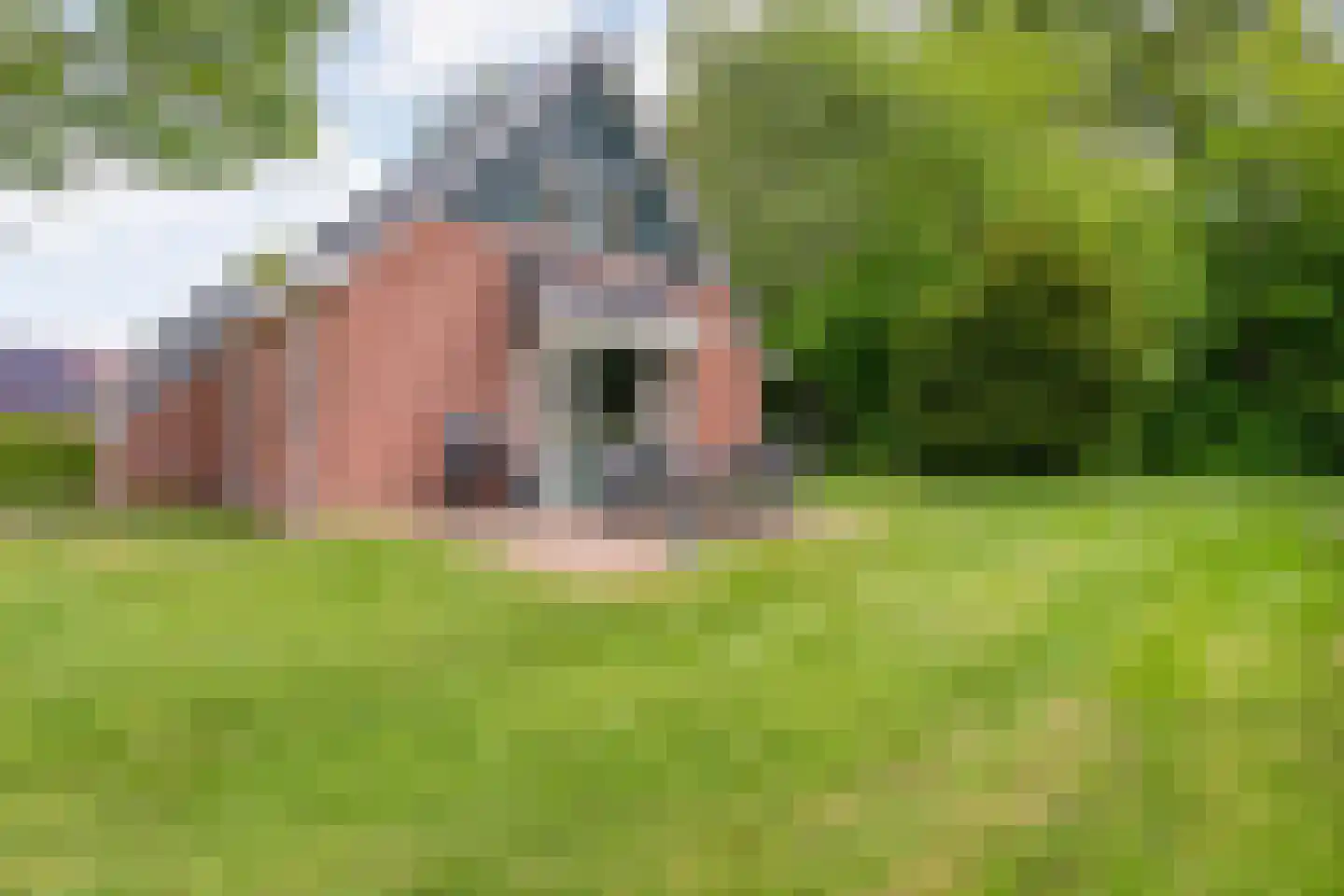 Bruine Hoopsweg 6 a Z211 Hoge Hexel thumbnail 26