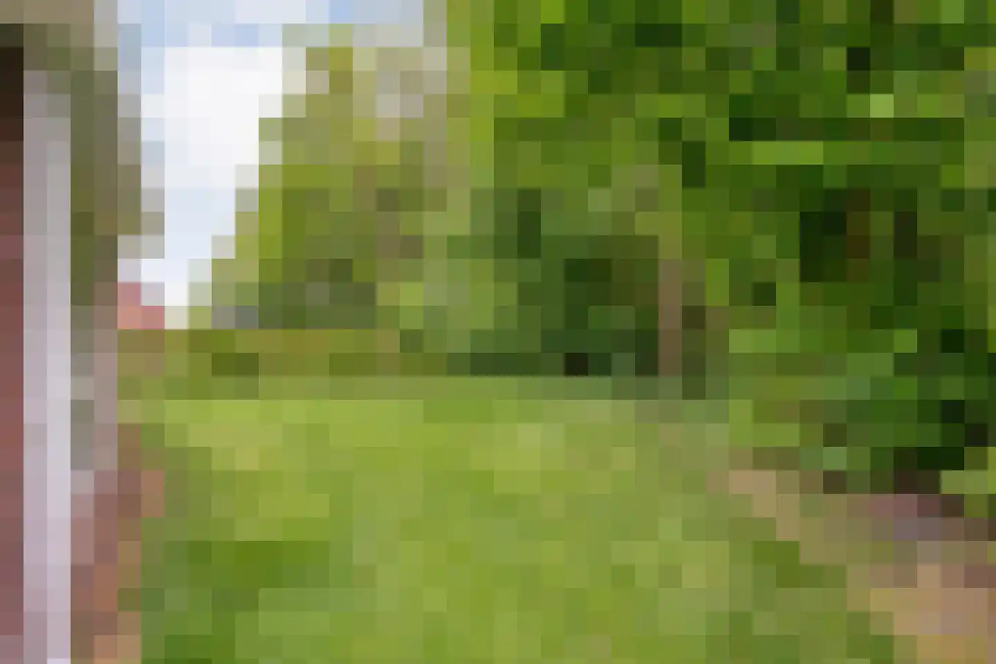 Bruine Hoopsweg 6 a Z211 Hoge Hexel thumbnail 28