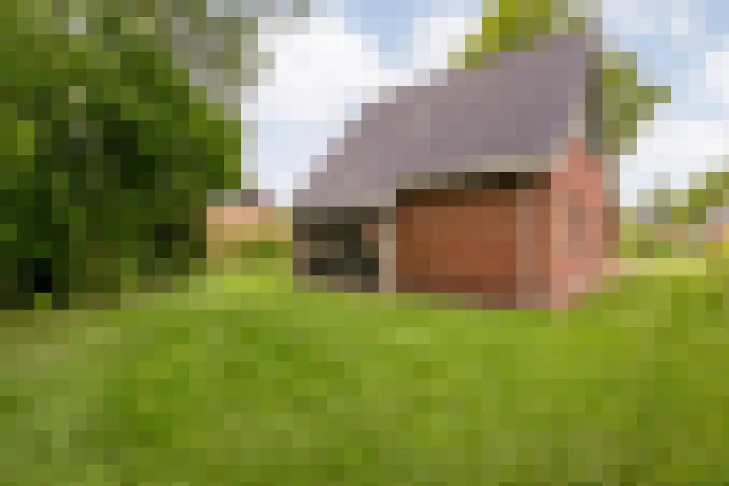 Bruine Hoopsweg 6 a Z211 Hoge Hexel thumbnail 29