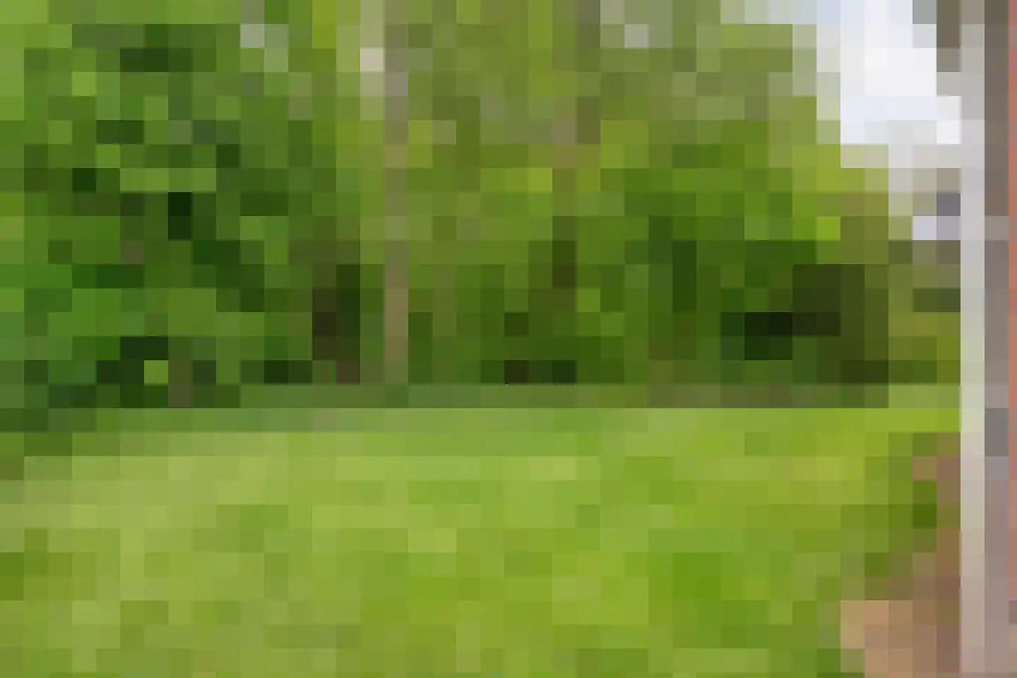 Bruine Hoopsweg 6 a Z211 Hoge Hexel thumbnail 30