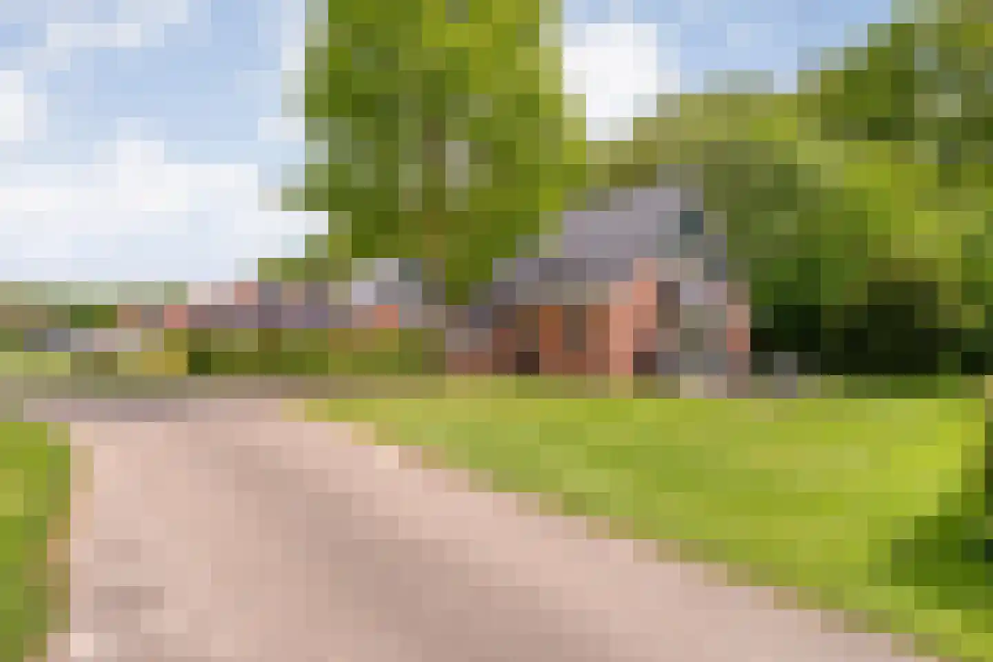 Bruine Hoopsweg 6 a Z211 Hoge Hexel thumbnail 31