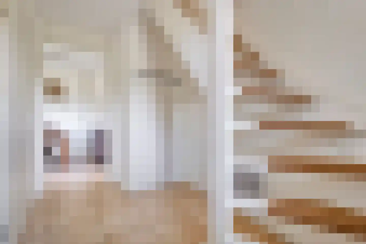 Bruine Hoopsweg 6 a Z211 Hoge Hexel thumbnail 4