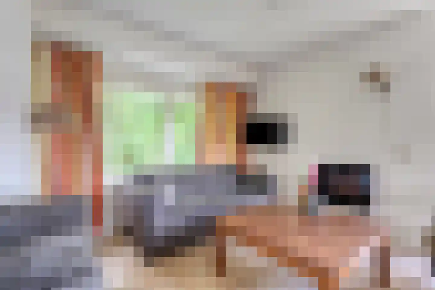 Bruine Hoopsweg 6 a Z211 Hoge Hexel thumbnail 5